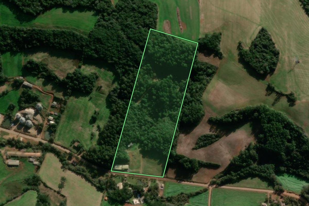 Imagem de satélite do imóvel rural em David Canabarro (RS), com o contorno declarado no CAR desenhado por cima.