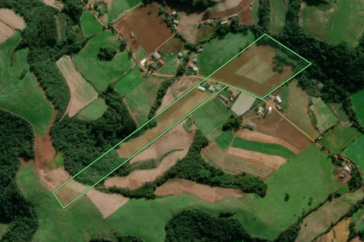 Imagem de satélite do imóvel rural em David Canabarro (RS), com o contorno declarado no CAR desenhado por cima.