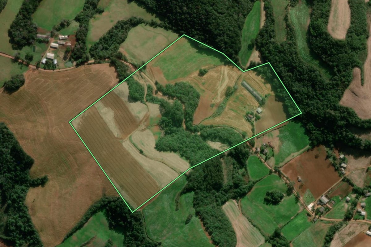 Imagem de satélite do imóvel rural em David Canabarro (RS), com o contorno declarado no CAR desenhado por cima.