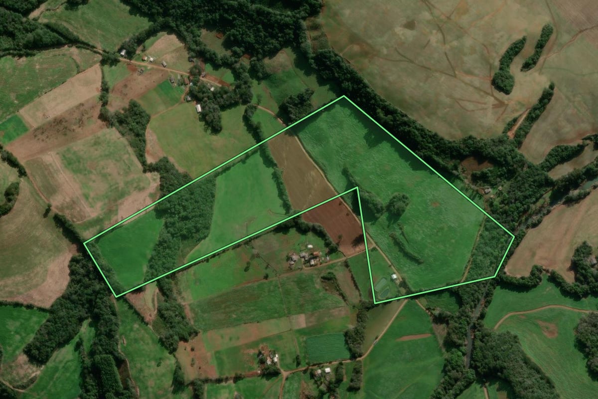 Imagem de satélite do imóvel rural em David Canabarro (RS), com o contorno declarado no CAR desenhado por cima.