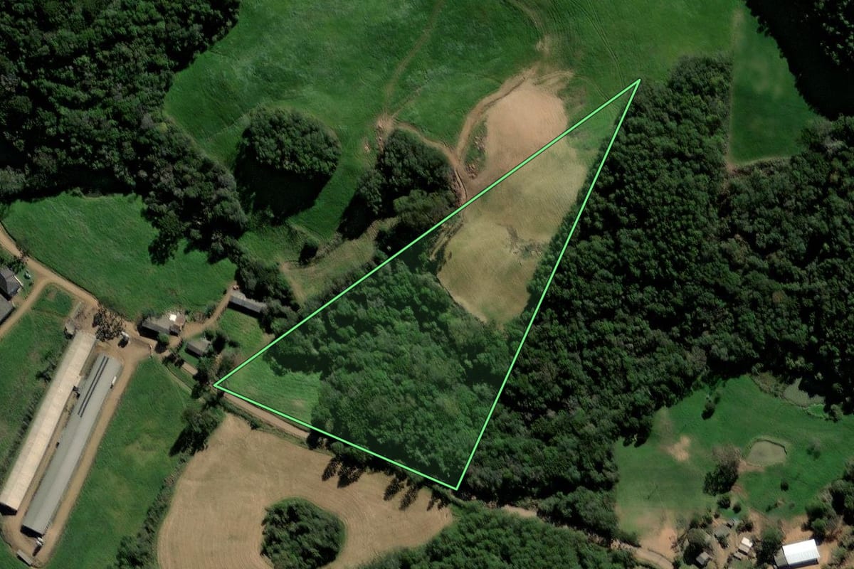 Imagem de satélite do imóvel rural em David Canabarro (RS), com o contorno declarado no CAR desenhado por cima.