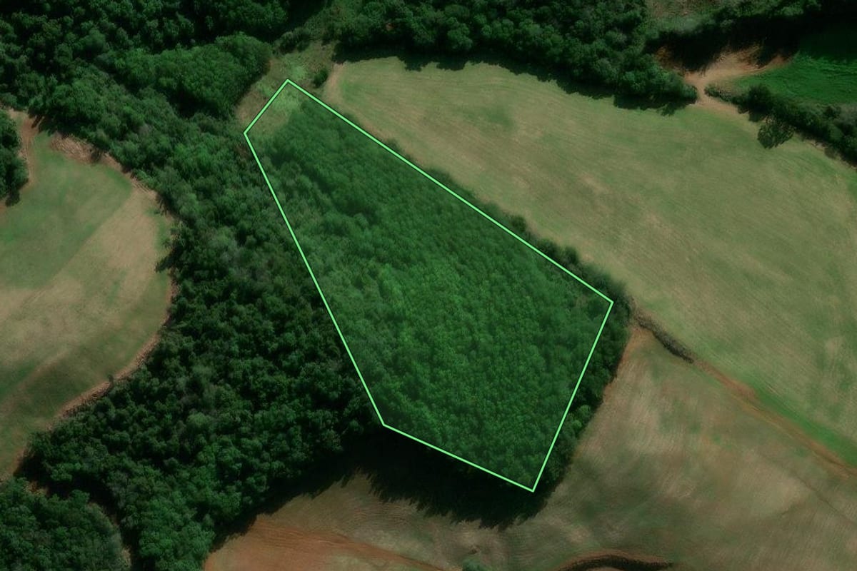 Imagem de satélite do imóvel rural em David Canabarro (RS), com o contorno declarado no CAR desenhado por cima.