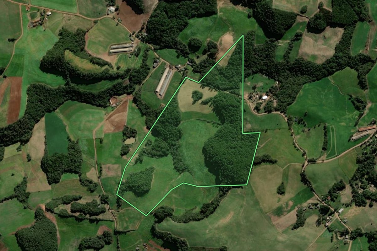 Imagem de satélite do imóvel rural em David Canabarro (RS), com o contorno declarado no CAR desenhado por cima.