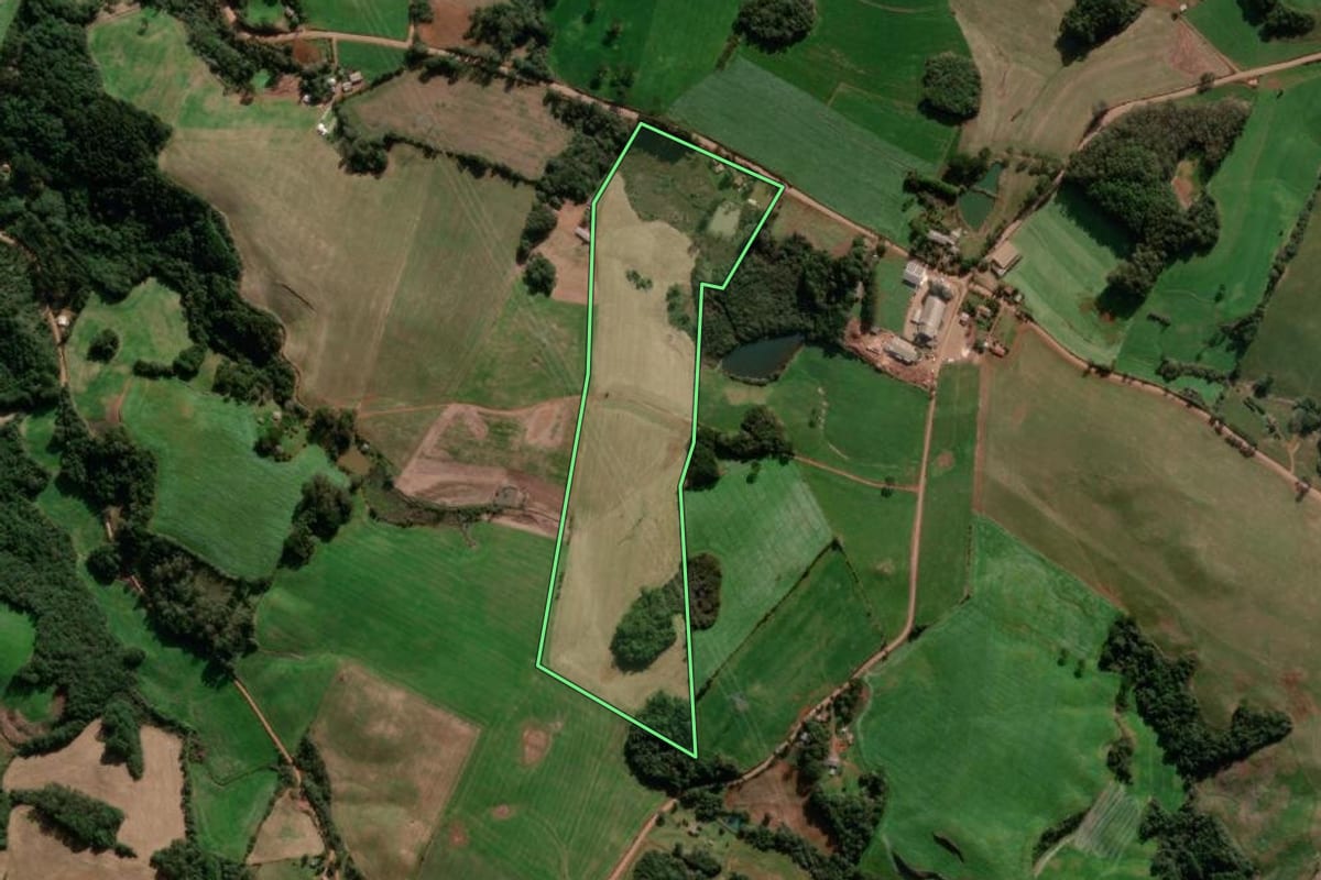 Imagem de satélite do imóvel rural em David Canabarro (RS), com o contorno declarado no CAR desenhado por cima.