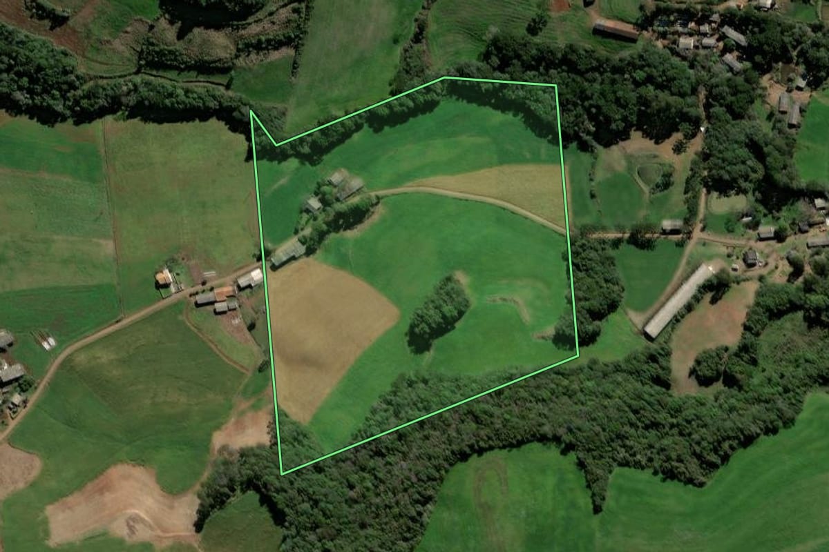 Imagem de satélite do imóvel rural em David Canabarro (RS), com o contorno declarado no CAR desenhado por cima.