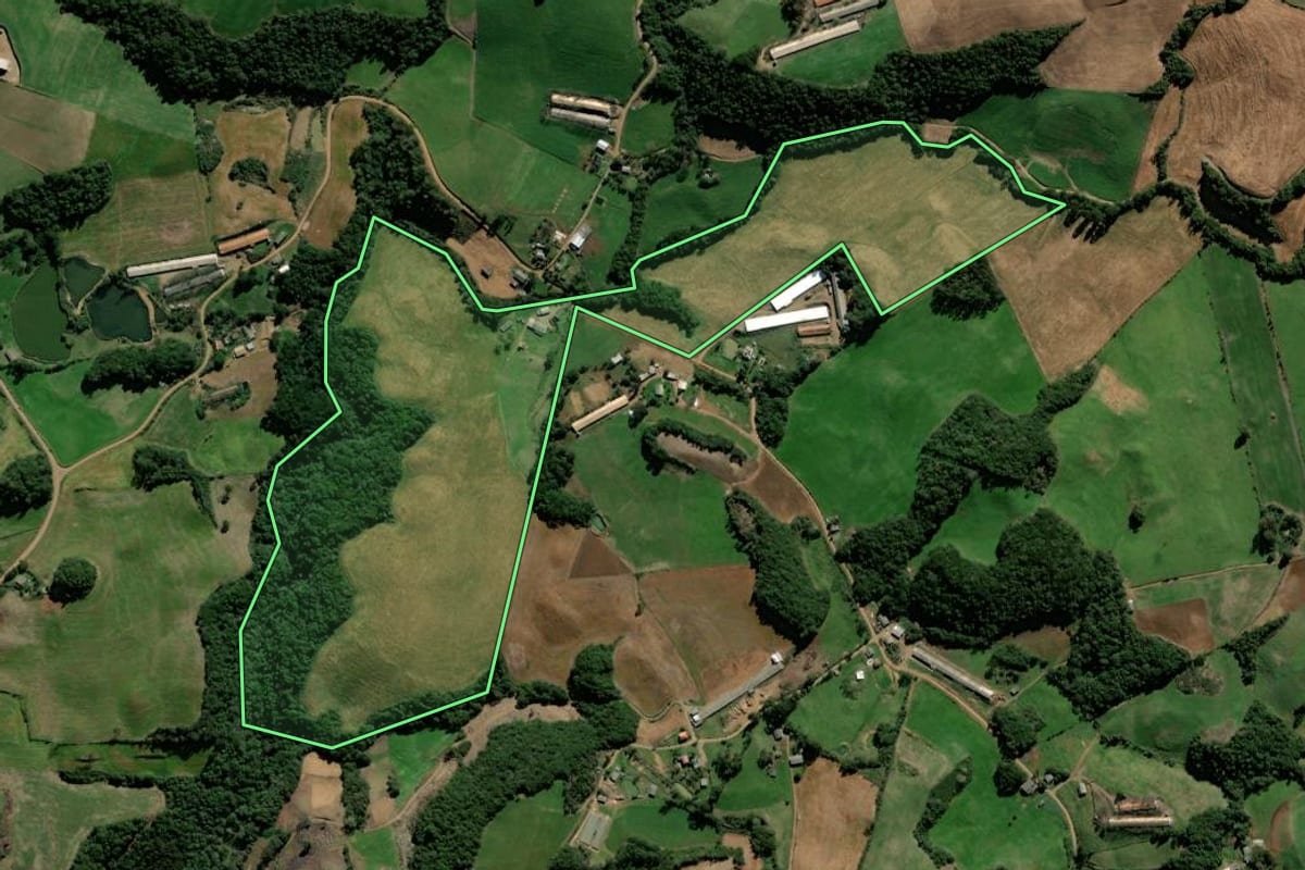 Imagem de satélite do imóvel rural em David Canabarro (RS), com o contorno declarado no CAR desenhado por cima.