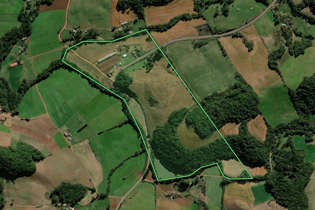 Imagem de satélite do imóvel rural em David Canabarro (RS), com o contorno declarado no CAR desenhado por cima.