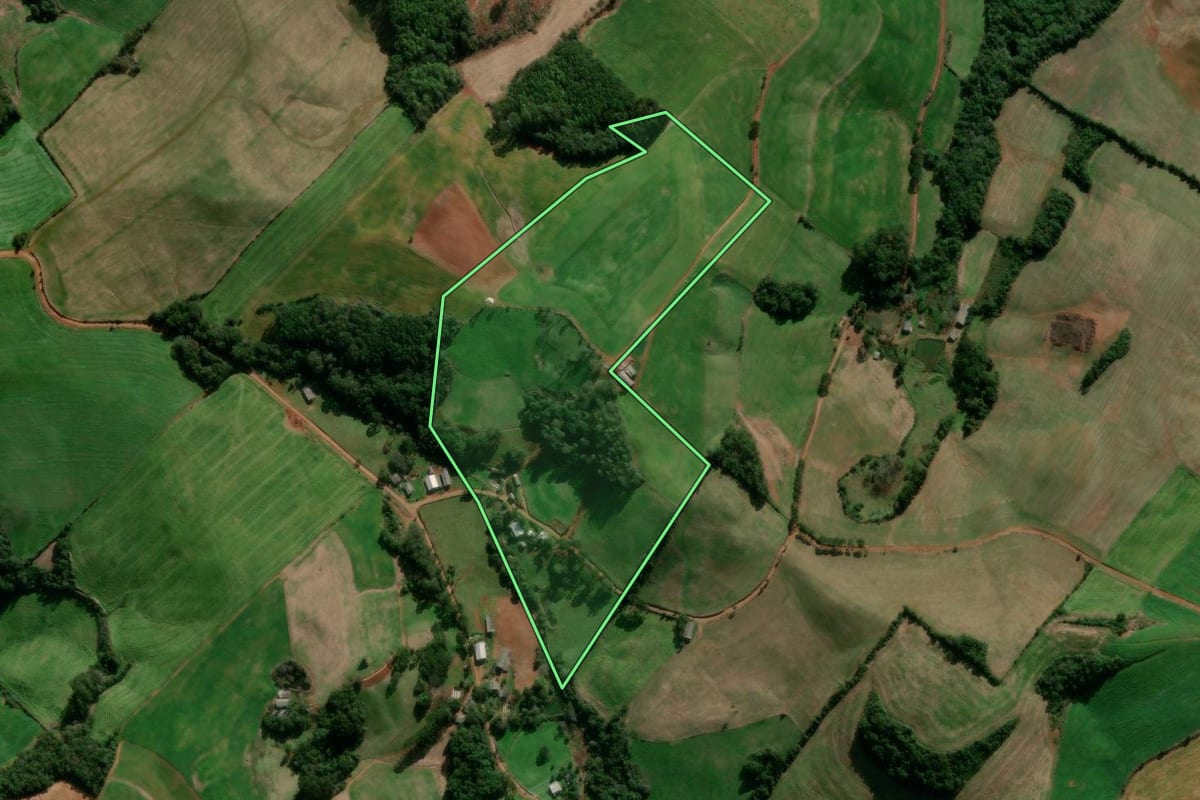 Imagem de satélite do imóvel rural em David Canabarro (RS), com o contorno declarado no CAR desenhado por cima.