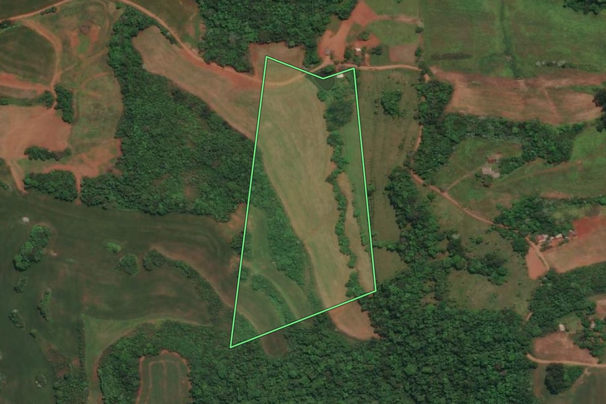 Imagem de satélite do imóvel rural em Derrubadas (RS), com o contorno declarado no CAR desenhado por cima.