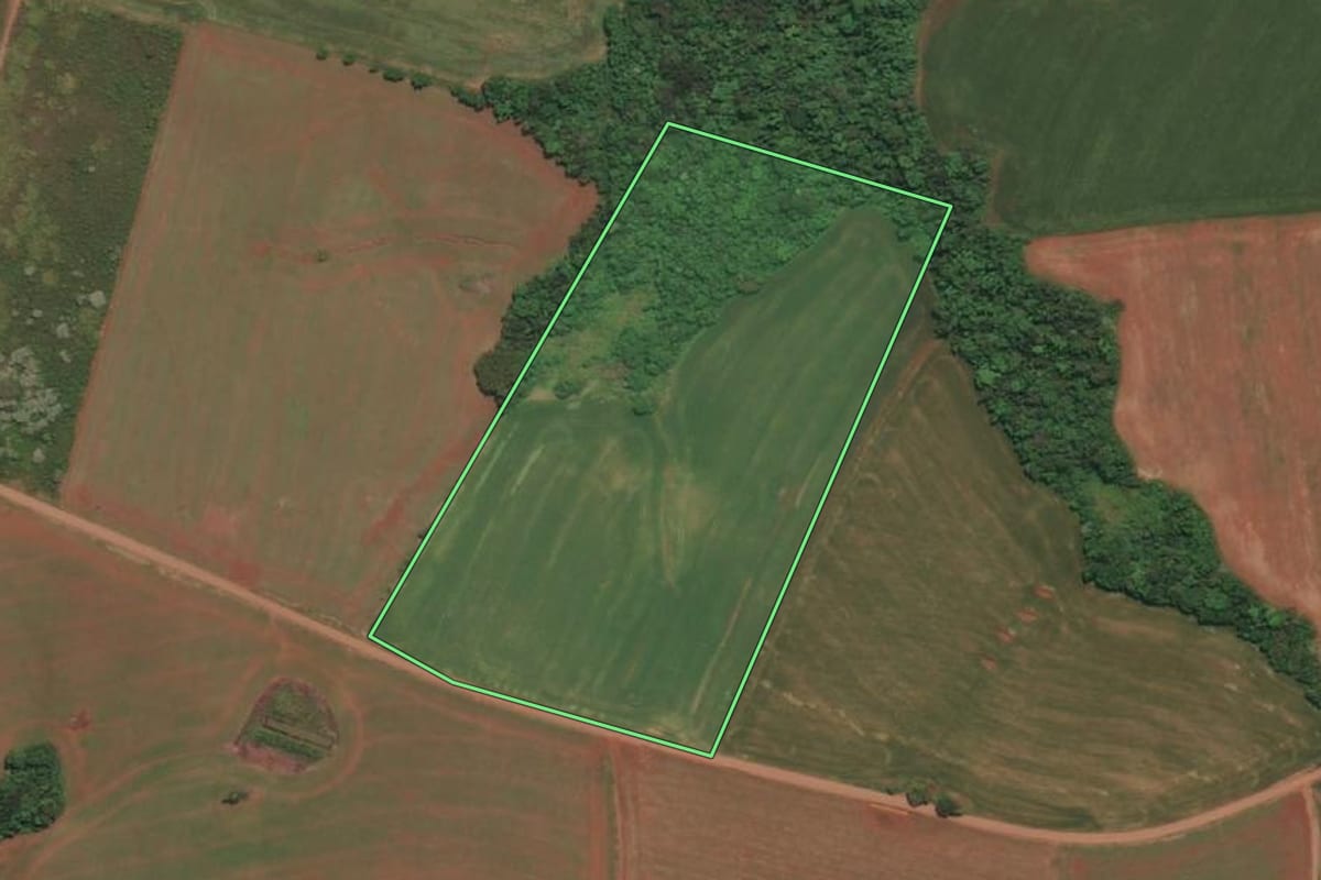 Imagem de satélite do imóvel rural em Derrubadas (RS), com o contorno declarado no CAR desenhado por cima.