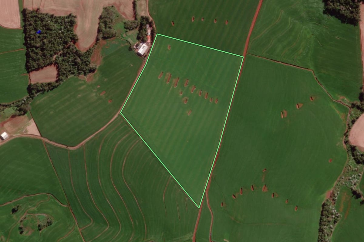 Imagem de satélite do imóvel rural em Derrubadas (RS), com o contorno declarado no CAR desenhado por cima.