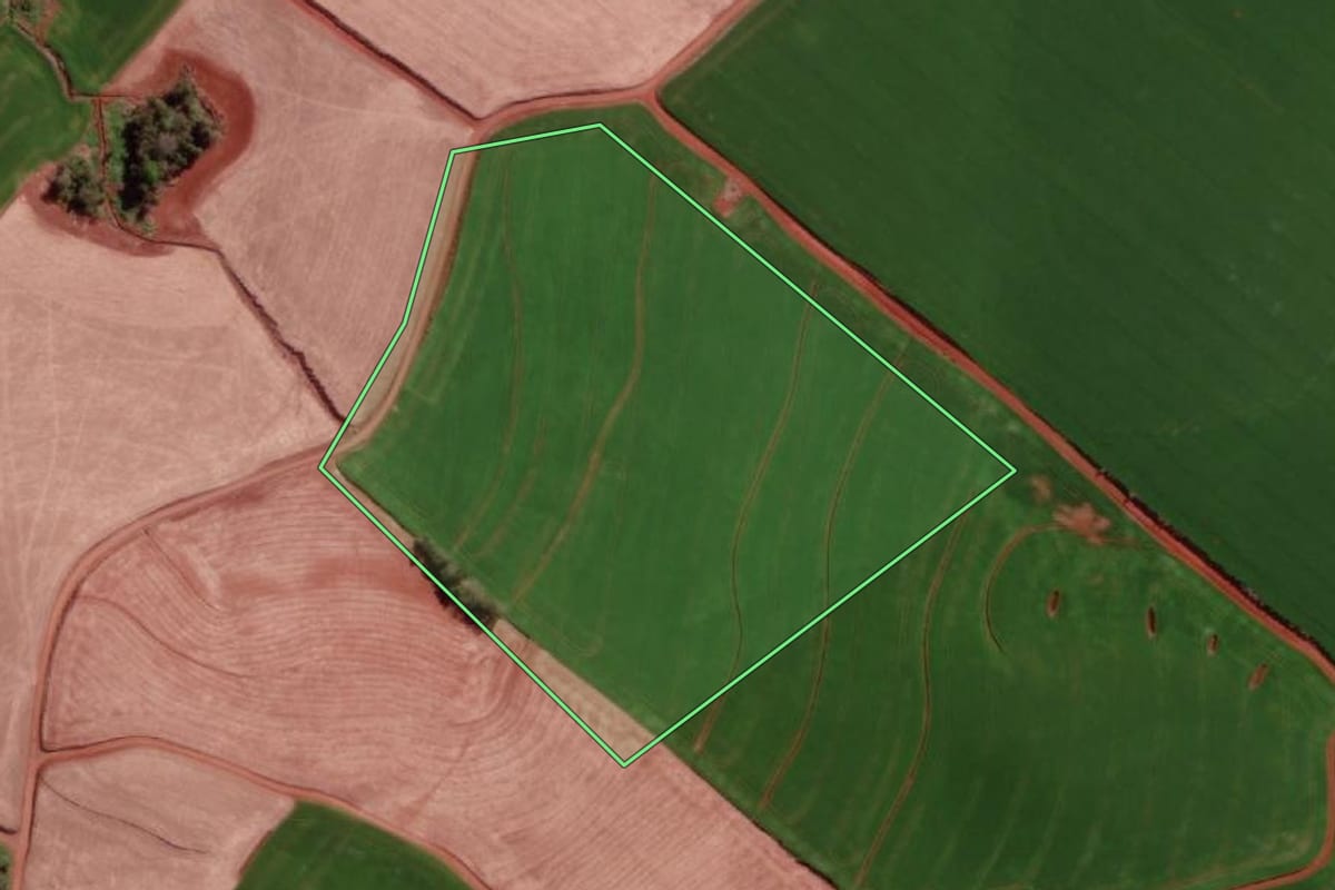 Imagem de satélite do imóvel rural em Derrubadas (RS), com o contorno declarado no CAR desenhado por cima.