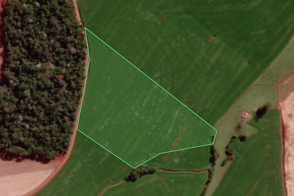 Imagem de satélite do imóvel rural em Derrubadas (RS), com o contorno declarado no CAR desenhado por cima.