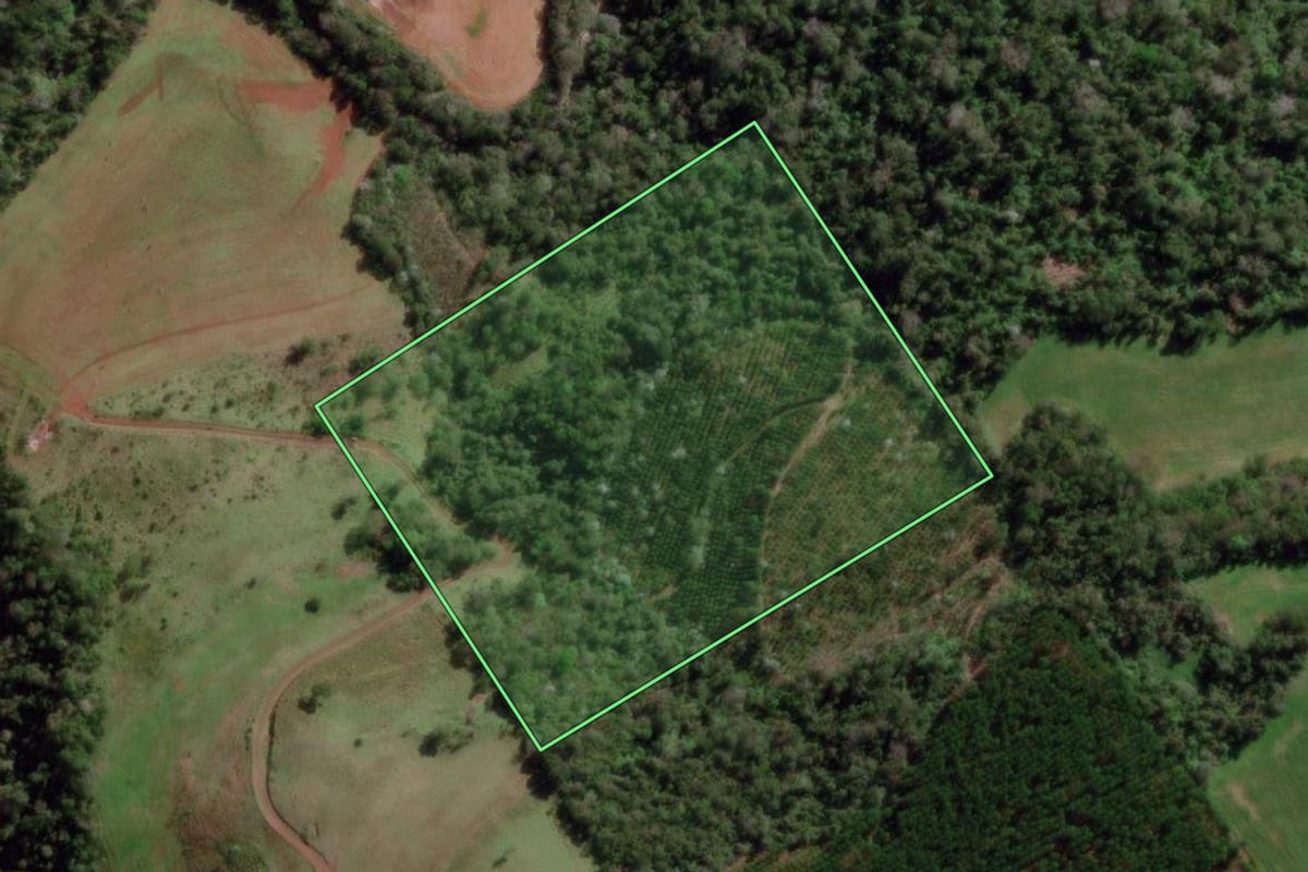 Imagem de satélite do imóvel rural em Derrubadas (RS), com o contorno declarado no CAR desenhado por cima.