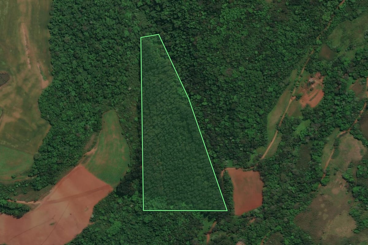 Imagem de satélite do imóvel rural em Derrubadas (RS), com o contorno declarado no CAR desenhado por cima.
