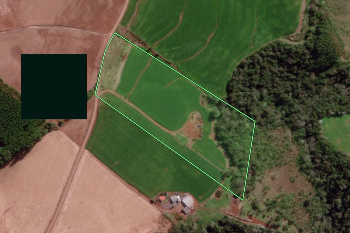 Imagem de satélite do imóvel rural em Derrubadas (RS), com o contorno declarado no CAR desenhado por cima.