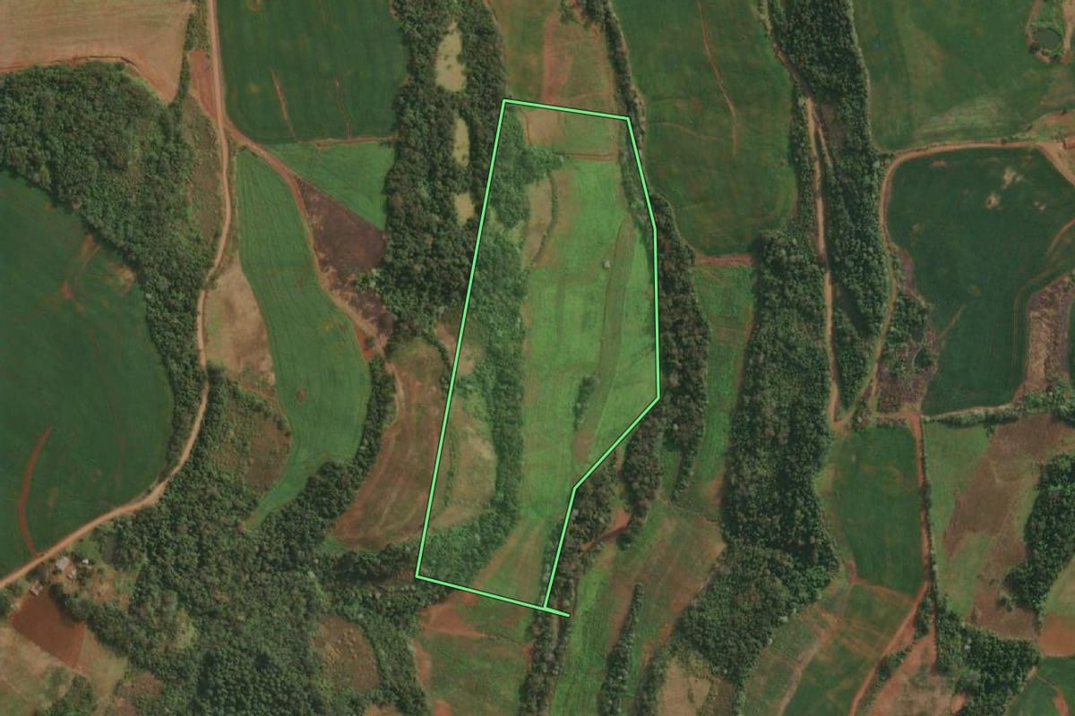 Imagem de satélite do imóvel rural em Derrubadas (RS), com o contorno declarado no CAR desenhado por cima.