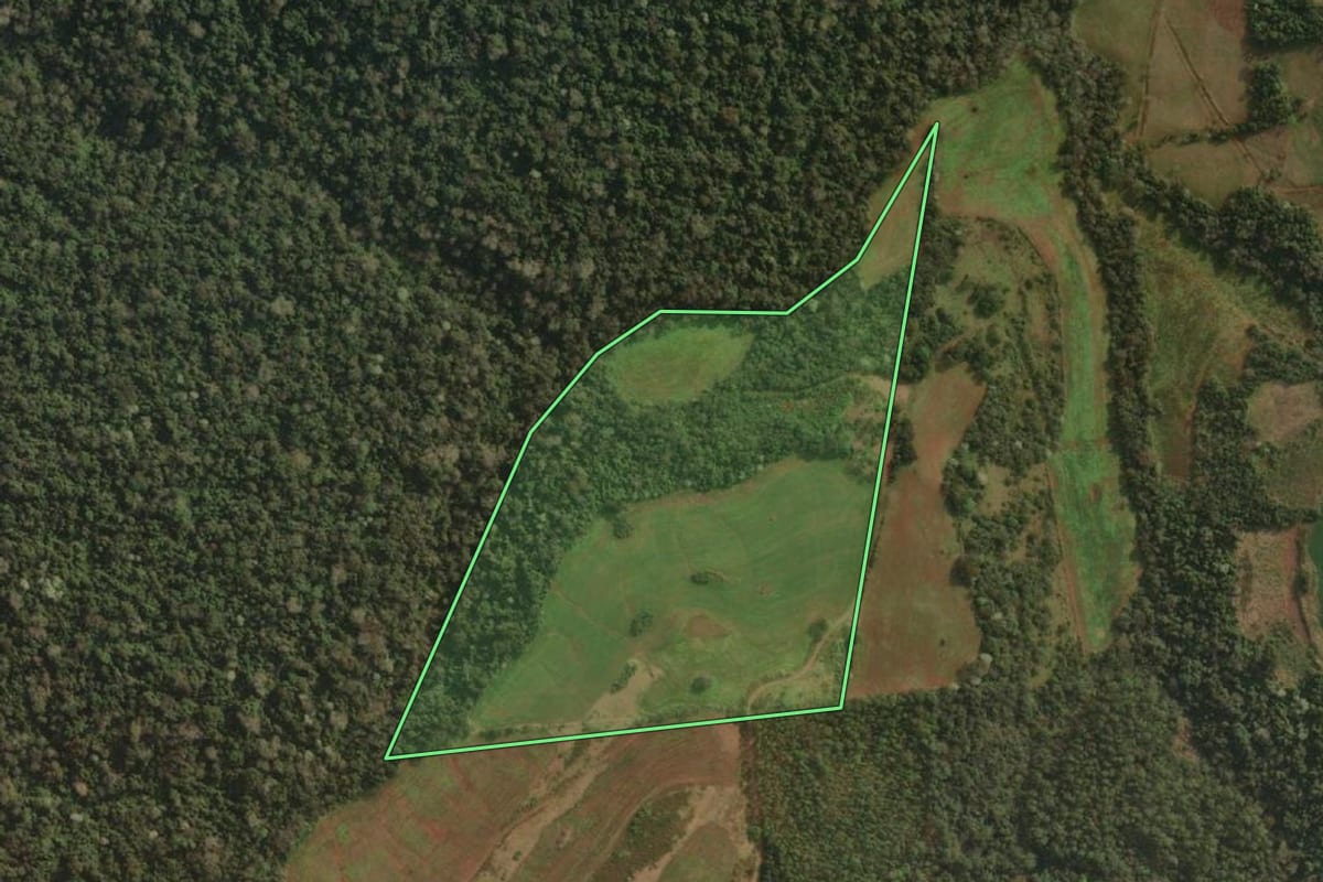 Imagem de satélite do imóvel rural em Derrubadas (RS), com o contorno declarado no CAR desenhado por cima.