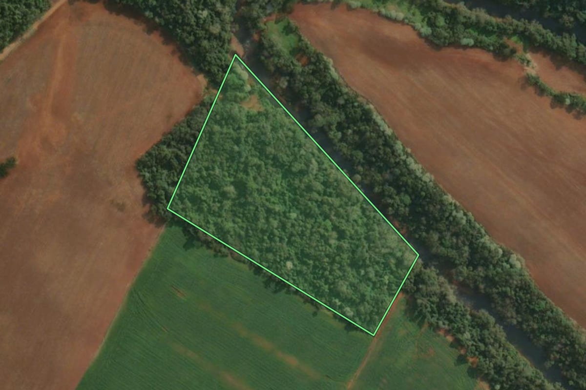 Imagem de satélite do imóvel rural em Derrubadas (RS), com o contorno declarado no CAR desenhado por cima.