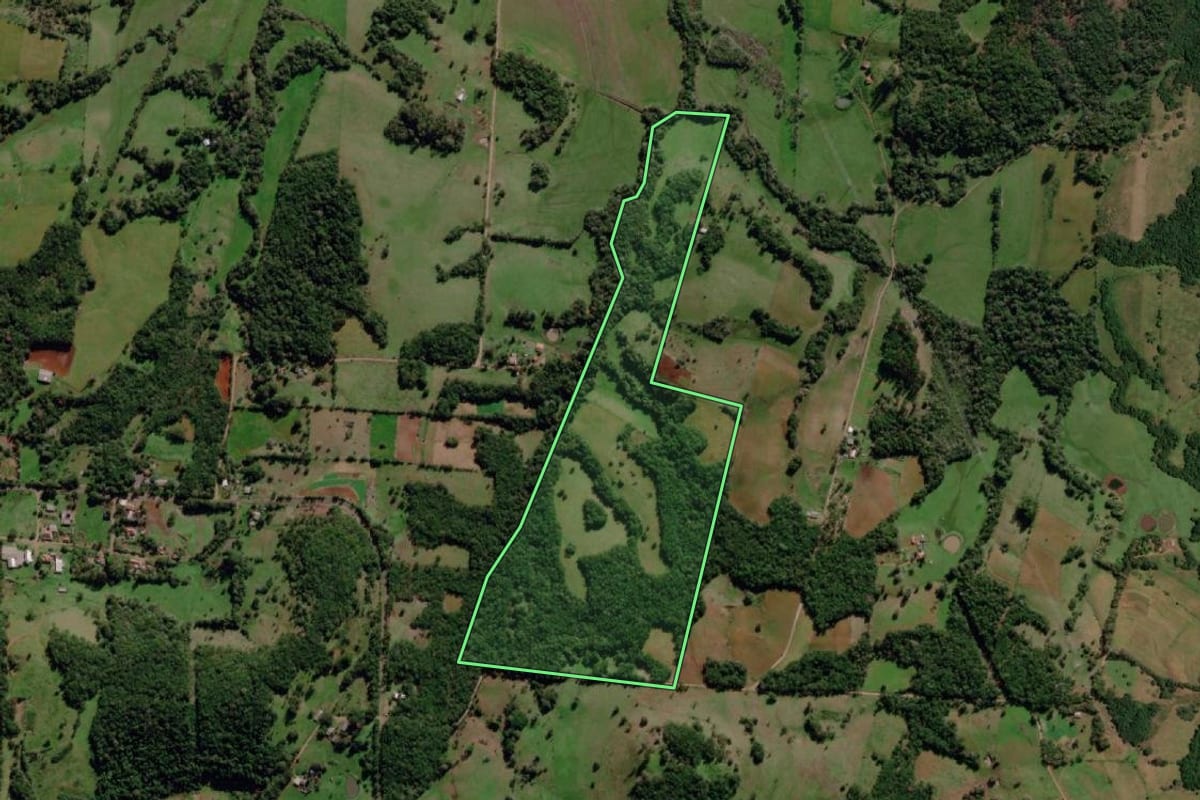 Imagem de satélite do imóvel rural em Dezesseis de Novembro (RS), com o contorno declarado no CAR desenhado por cima.