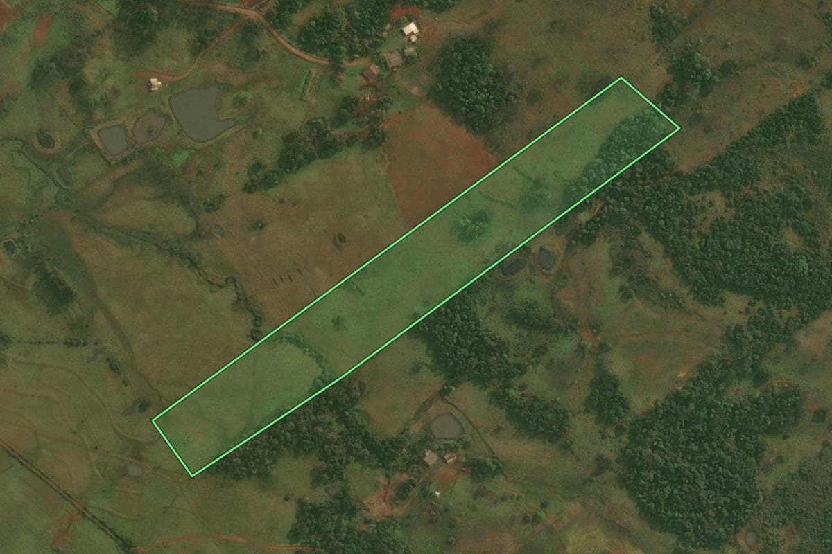 Imagem de satélite do imóvel rural em Dezesseis de Novembro (RS), com o contorno declarado no CAR desenhado por cima.