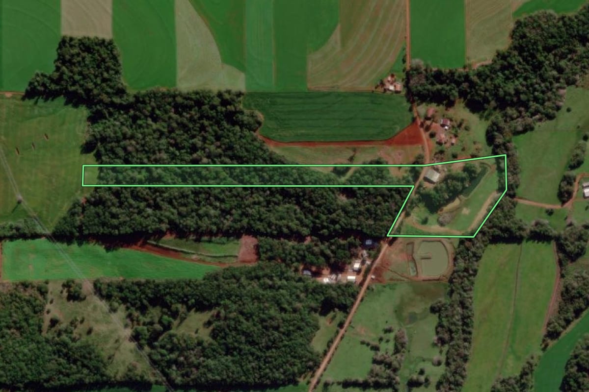 Imagem de satélite do imóvel rural em Dezesseis de Novembro (RS), com o contorno declarado no CAR desenhado por cima.