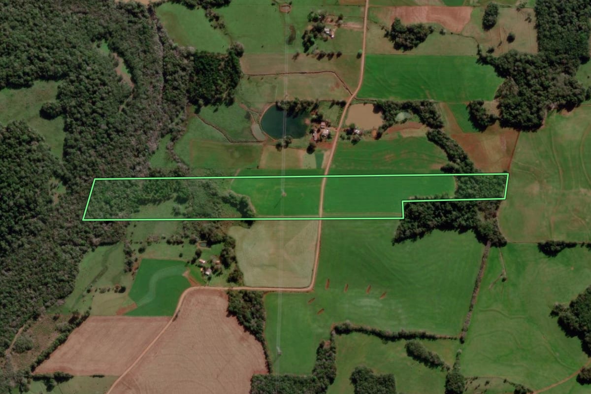 Imagem de satélite do imóvel rural em Dezesseis de Novembro (RS), com o contorno declarado no CAR desenhado por cima.