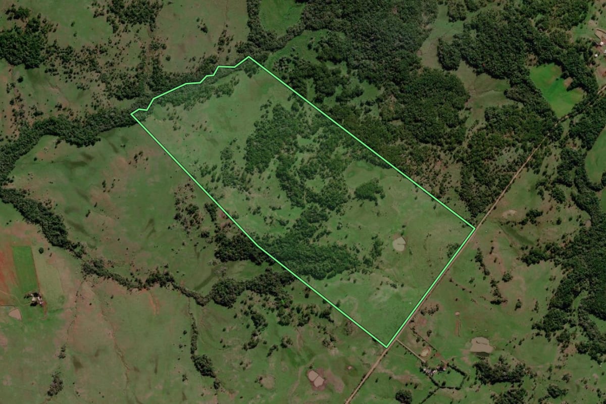 Imagem de satélite do imóvel rural em Dezesseis de Novembro (RS), com o contorno declarado no CAR desenhado por cima.