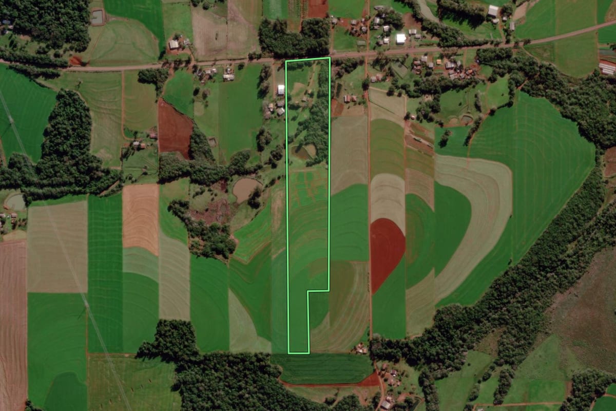 Imagem de satélite do imóvel rural em Dezesseis de Novembro (RS), com o contorno declarado no CAR desenhado por cima.