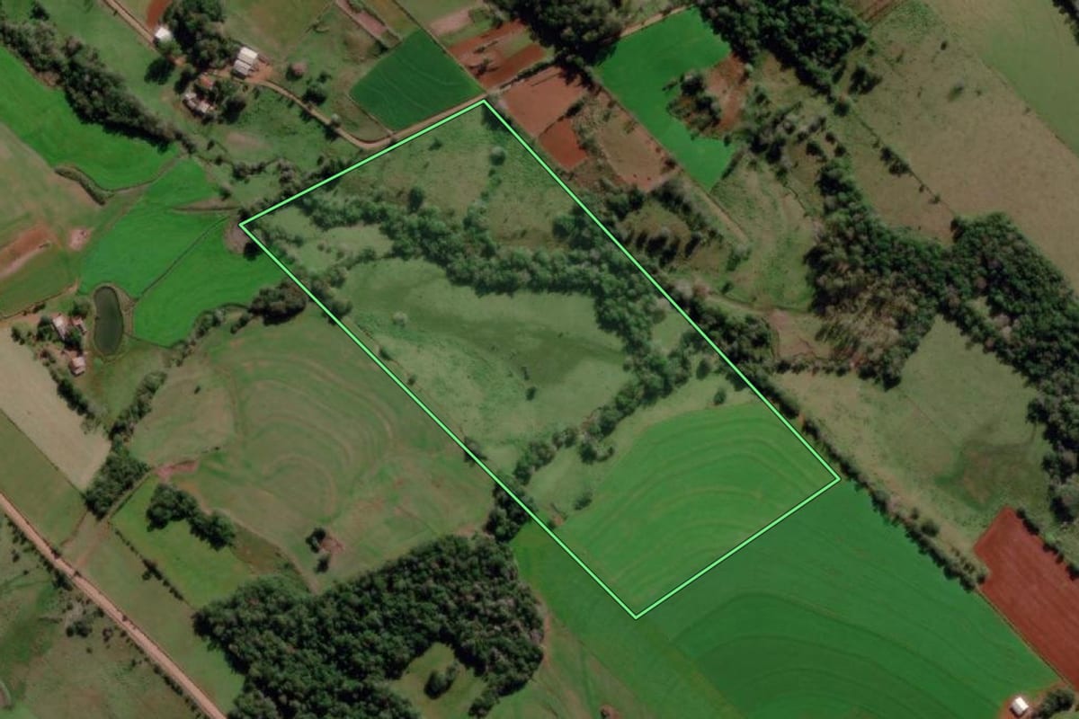 Imagem de satélite do imóvel rural em Dezesseis de Novembro (RS), com o contorno declarado no CAR desenhado por cima.