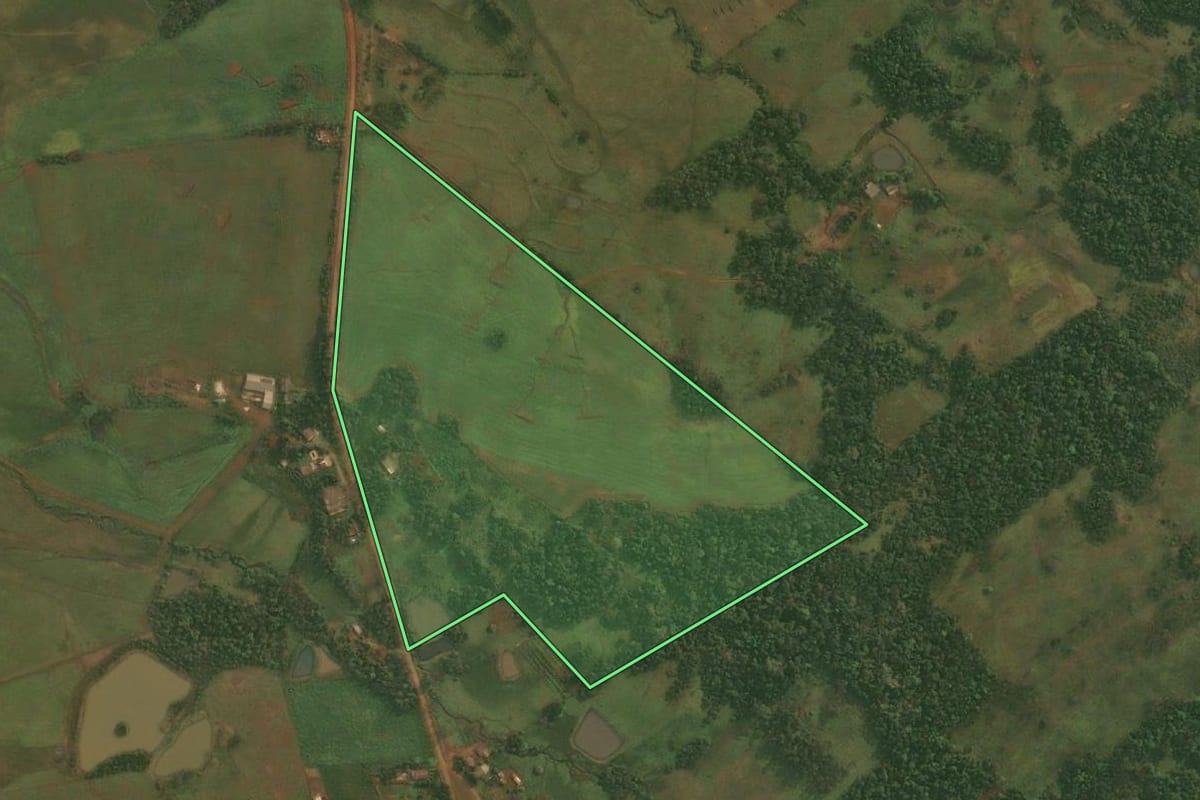 Imagem de satélite do imóvel rural em Dezesseis de Novembro (RS), com o contorno declarado no CAR desenhado por cima.