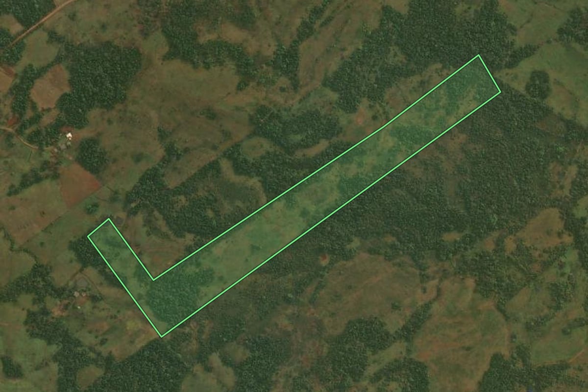 Imagem de satélite do imóvel rural em Dezesseis de Novembro (RS), com o contorno declarado no CAR desenhado por cima.