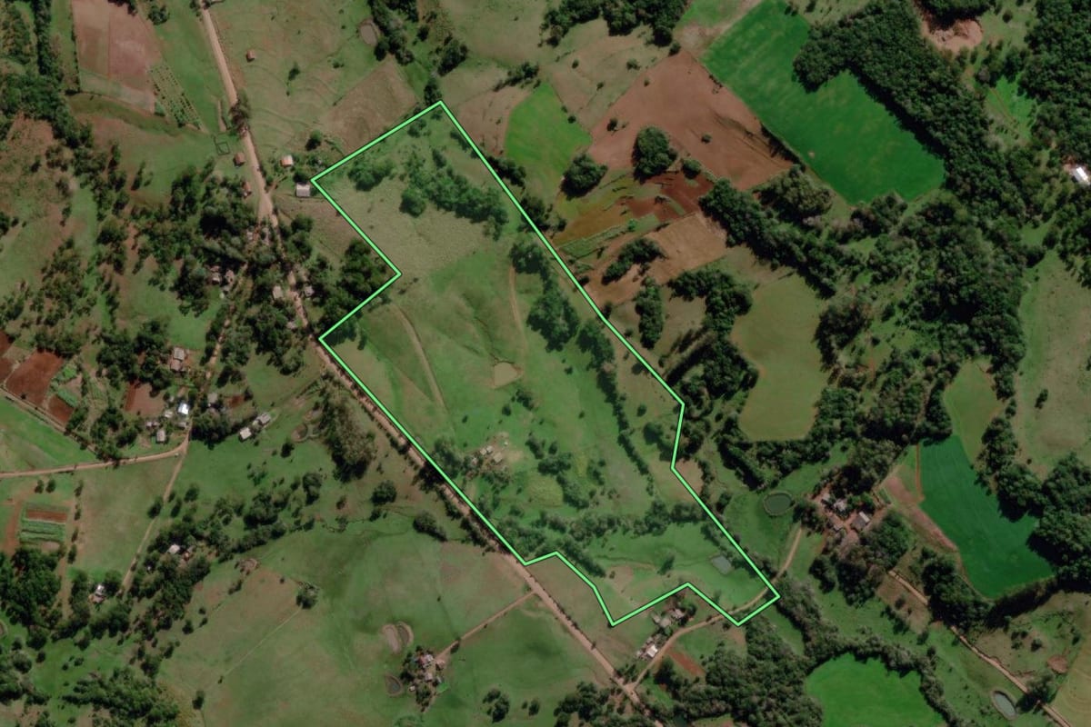 Imagem de satélite do imóvel rural em Dezesseis de Novembro (RS), com o contorno declarado no CAR desenhado por cima.
