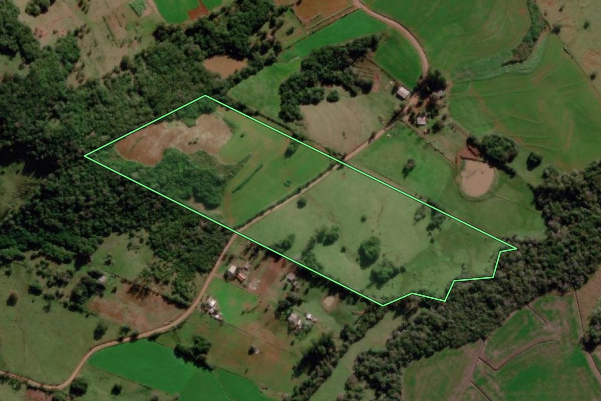 Imagem de satélite do imóvel rural em Dezesseis de Novembro (RS), com o contorno declarado no CAR desenhado por cima.