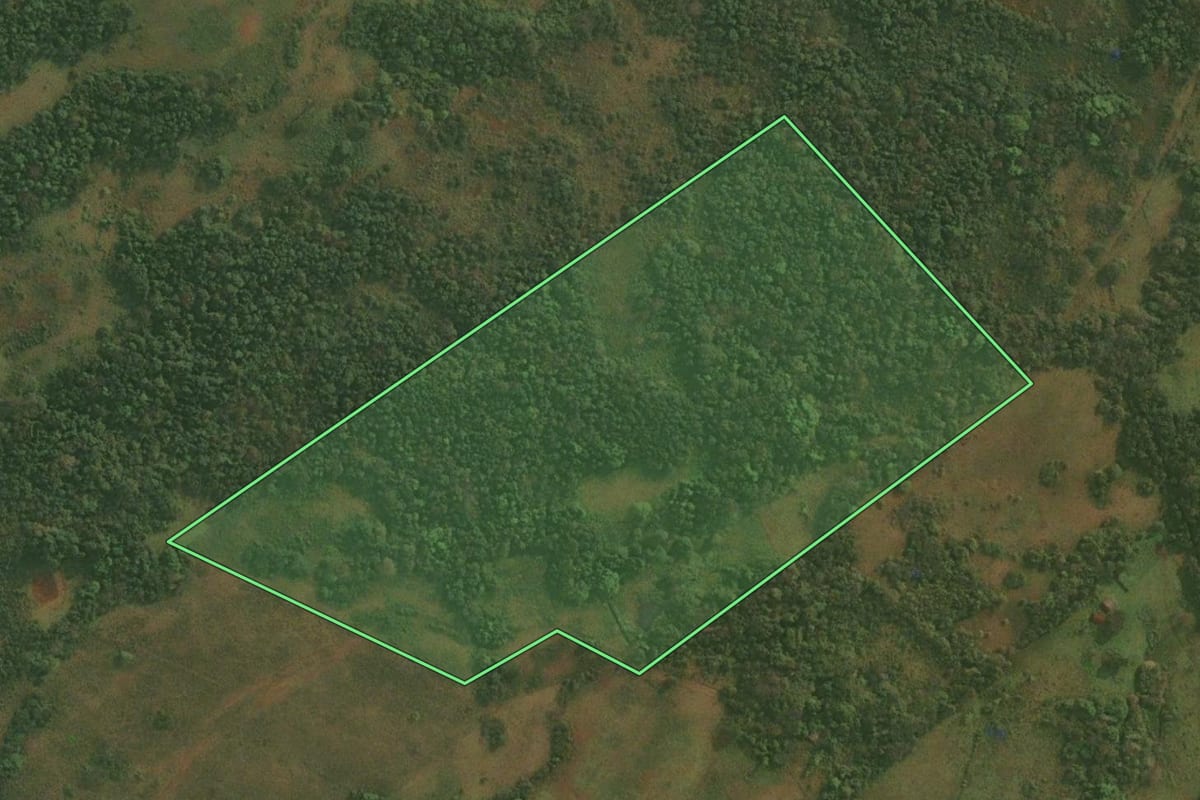 Imagem de satélite do imóvel rural em Dezesseis de Novembro (RS), com o contorno declarado no CAR desenhado por cima.