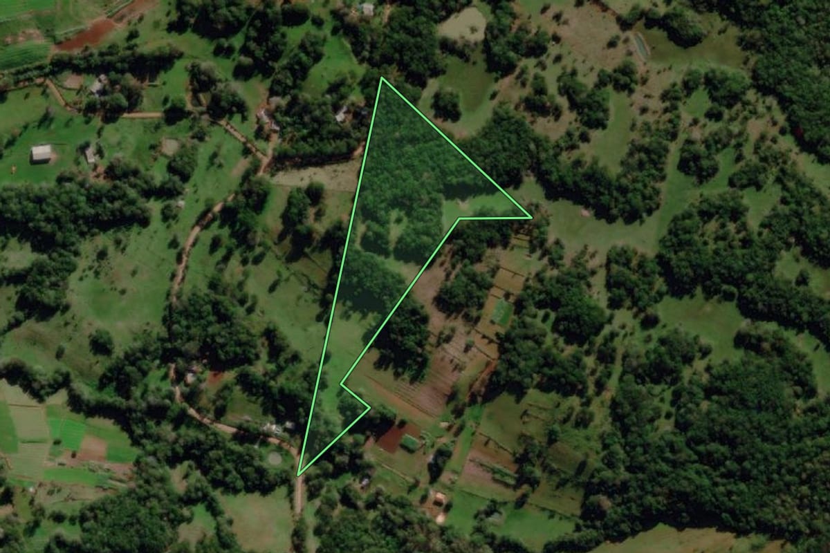 Imagem de satélite do imóvel rural em Dezesseis de Novembro (RS), com o contorno declarado no CAR desenhado por cima.