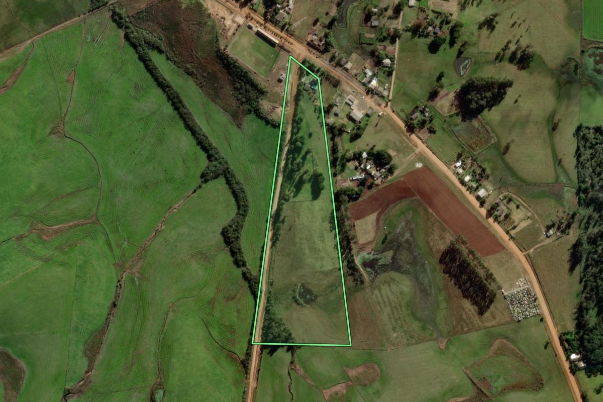 Imagem de satélite do imóvel rural em Dilermando de Aguiar (RS), com o contorno declarado no CAR desenhado por cima.