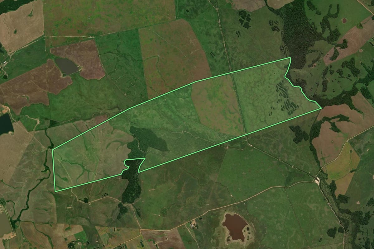 Imagem de satélite do imóvel rural em Dilermando de Aguiar (RS), com o contorno declarado no CAR desenhado por cima.