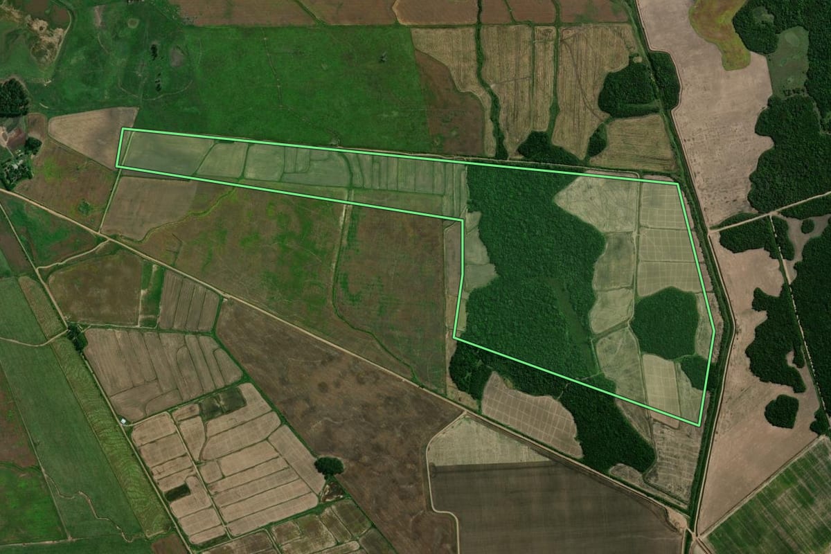 Imagem de satélite do imóvel rural em Dilermando de Aguiar (RS), com o contorno declarado no CAR desenhado por cima.