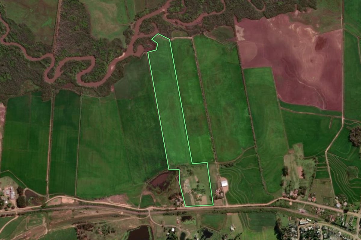 Imagem de satélite do imóvel rural em Dilermando de Aguiar (RS), com o contorno declarado no CAR desenhado por cima.