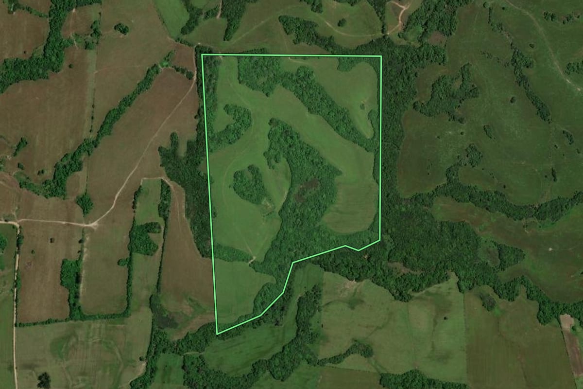 Imagem de satélite do imóvel rural em Dilermando de Aguiar (RS), com o contorno declarado no CAR desenhado por cima.