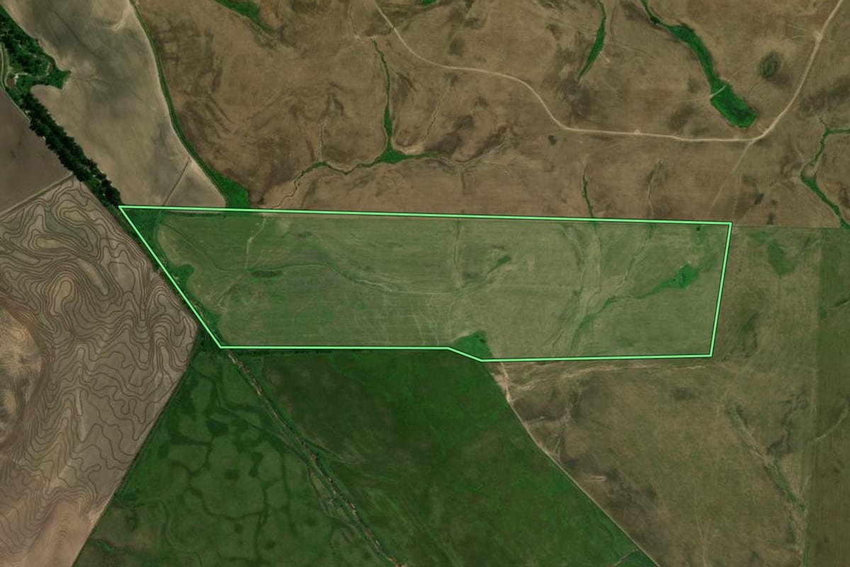 Imagem de satélite do imóvel rural em Dilermando de Aguiar (RS), com o contorno declarado no CAR desenhado por cima.