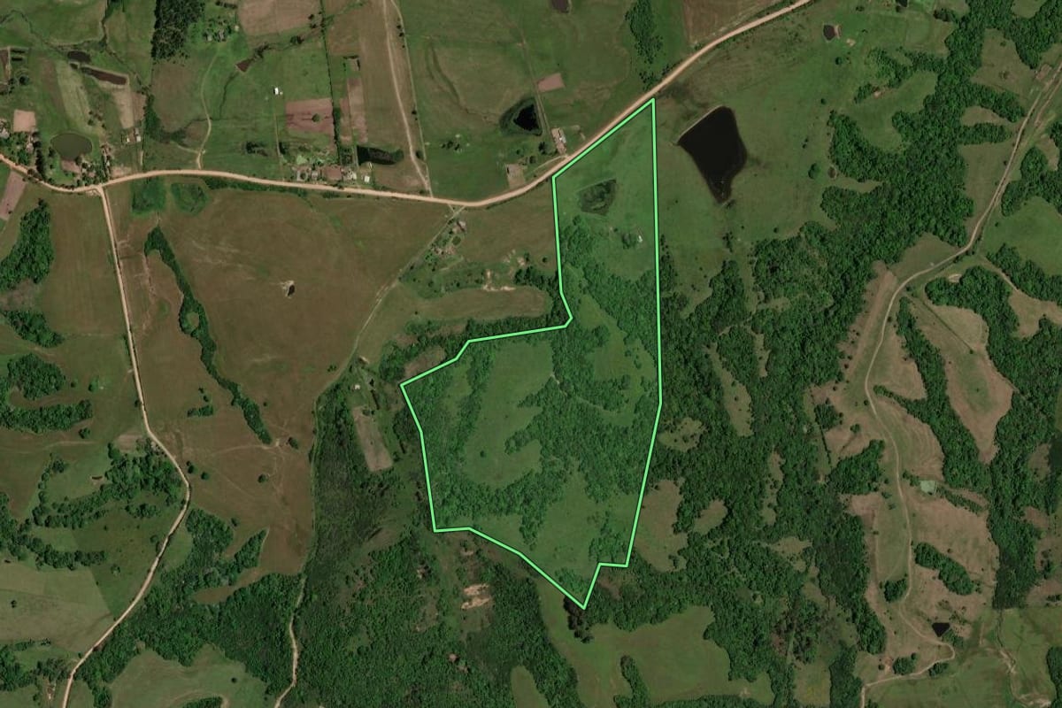 Imagem de satélite do imóvel rural em Dilermando de Aguiar (RS), com o contorno declarado no CAR desenhado por cima.