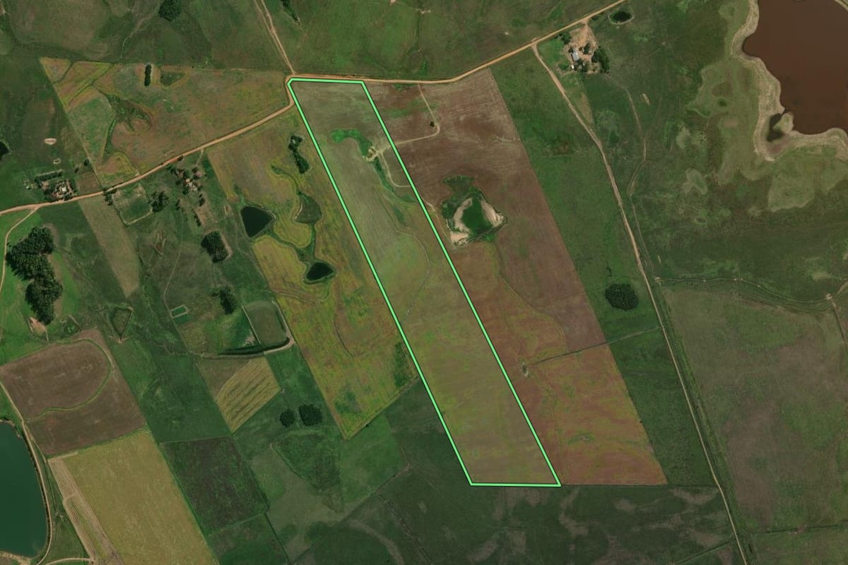 Imagem de satélite do imóvel rural em Dilermando de Aguiar (RS), com o contorno declarado no CAR desenhado por cima.