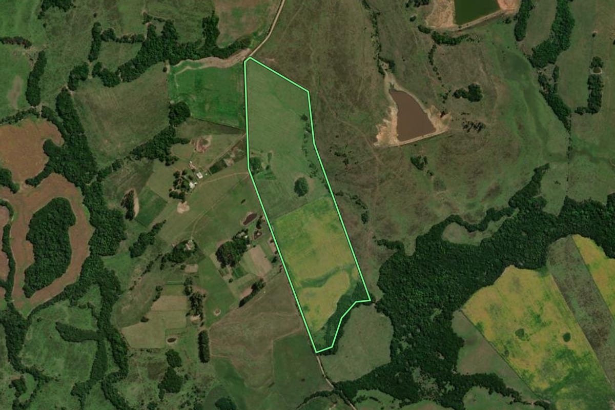 Imagem de satélite do imóvel rural em Dilermando de Aguiar (RS), com o contorno declarado no CAR desenhado por cima.