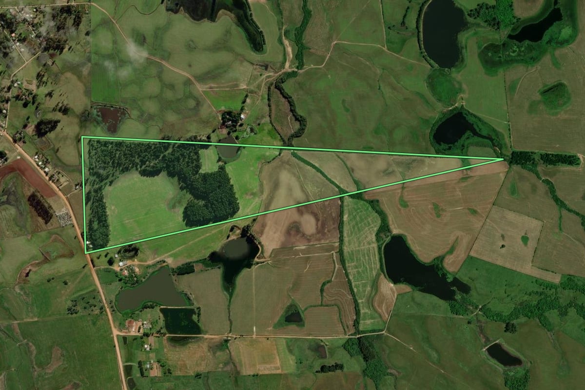 Imagem de satélite do imóvel rural em Dilermando de Aguiar (RS), com o contorno declarado no CAR desenhado por cima.