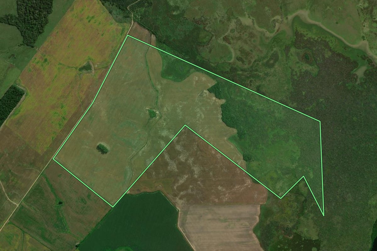 Imagem de satélite do imóvel rural em Dilermando de Aguiar (RS), com o contorno declarado no CAR desenhado por cima.