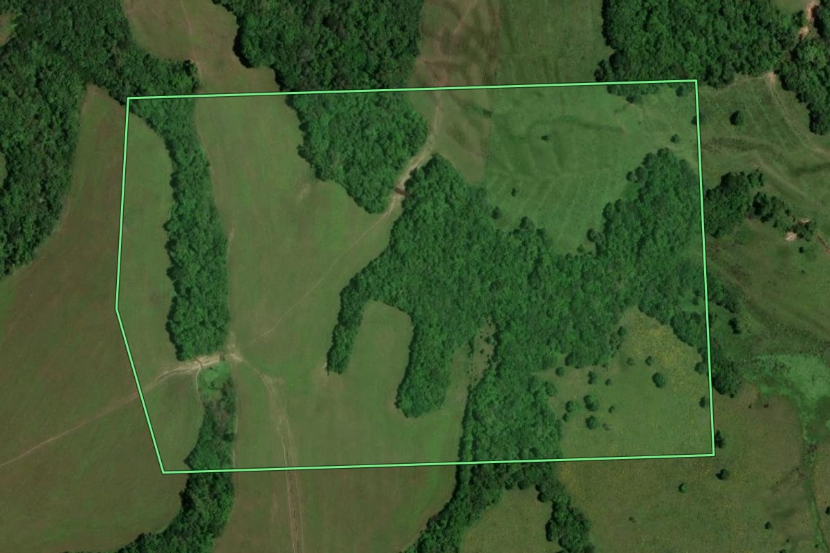 Imagem de satélite do imóvel rural em Dilermando de Aguiar (RS), com o contorno declarado no CAR desenhado por cima.
