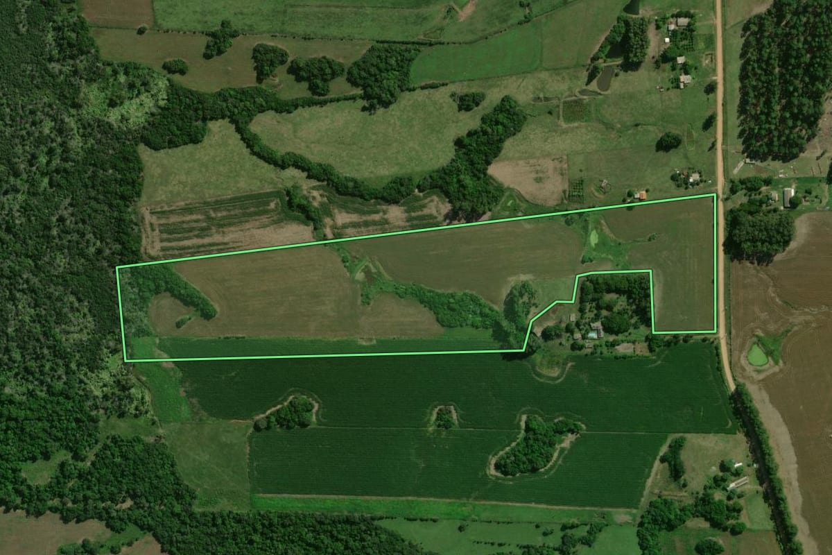 Imagem de satélite do imóvel rural em Dilermando de Aguiar (RS), com o contorno declarado no CAR desenhado por cima.