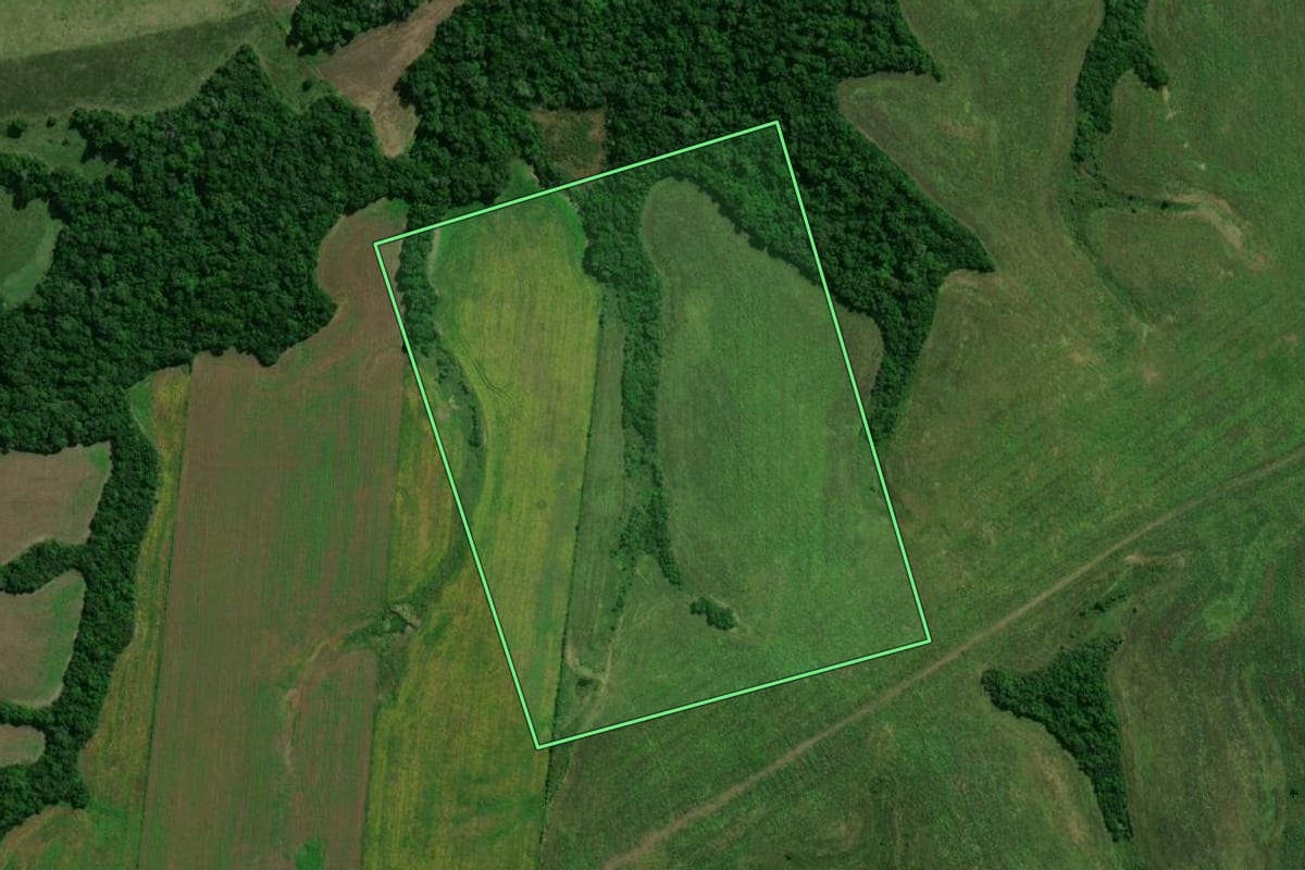 Imagem de satélite do imóvel rural em Dilermando de Aguiar (RS), com o contorno declarado no CAR desenhado por cima.